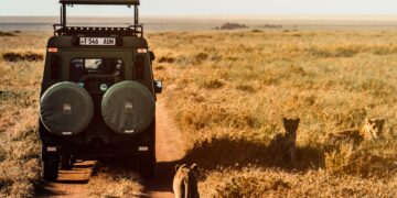 Safaris and Wildlife Adventures