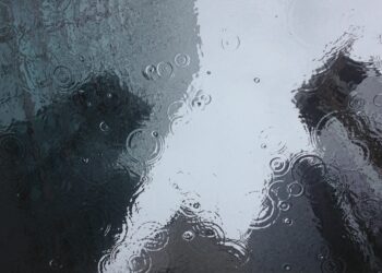 Winter: Lifestyle Tips for a Cozy Season