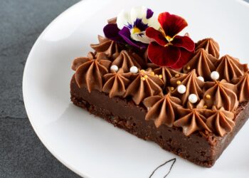 Decadent Delights: The Tempting Allure of Chocolate Cake