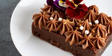 Decadent Delights: The Tempting Allure of Chocolate Cake