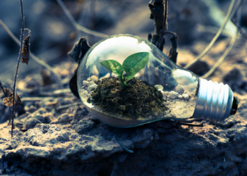 Driving Sustainability: Green Economy Initiatives Shaping the Future