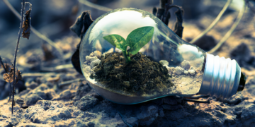 Driving Sustainability: Green Economy Initiatives Shaping the Future