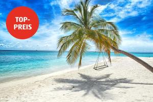 Hofer Reisen: Your travel destination for traveling in Austria