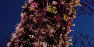 Viator.com: A Gateway to Unforgettable Experiences for Travelers from the USA and UK