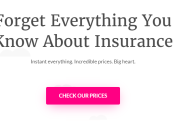 Appeal of Lemonade: Why Americans Embrace This Innovative Insurance Platform