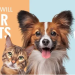 Animigo: Premium Pet Health and Wellness Products for All Pet Lovers