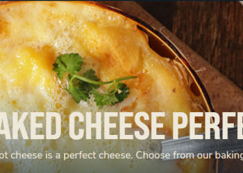 PongCheese is the UK’s Favourite for Gourmet Cheese Lovers