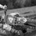 Alpinestars: Innovation in Performance Gear and Apparel