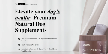 Explore the Unique Offerings of Pupps