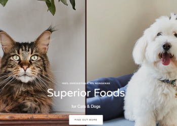 Thrive Pet Foods: Nutrition That Pets Deserve