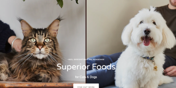Thrive Pet Foods: Nutrition That Pets Deserve