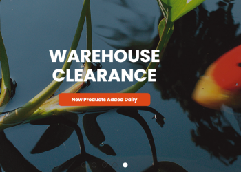 Bradshaws Direct: Your Trusted Source for Premium Garden and Outdoor Products