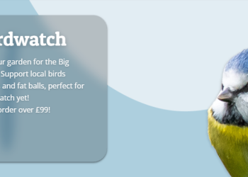 Birdfood: A Haven for Nature Enthusiasts and Bird Lovers