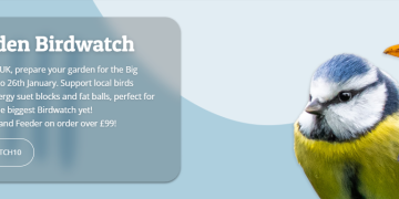 Birdfood: A Haven for Nature Enthusiasts and Bird Lovers