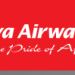 Kenya Airways: A Leading Airline with Distinctive Service