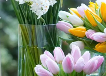 Why People in the UK Prefer to Buy from Appleyard Flowers