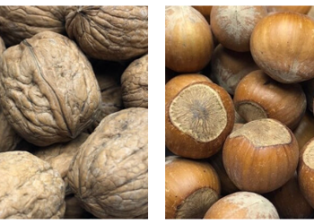 Why Anuts Is a Standout Choice for Nuts, Dried Fruits, and Snacks