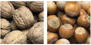 Why Anuts Is a Standout Choice for Nuts, Dried Fruits, and Snacks