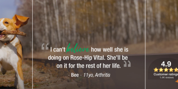 A Natural Approach to Joint Health and Wellbeing