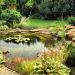 Expert Solutions for Every Pond Enthusiast