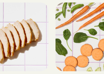 Ollie: Fresh, Human-Grade Food for Dogs Who Deserve Better