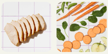 Ollie: Fresh, Human-Grade Food for Dogs Who Deserve Better