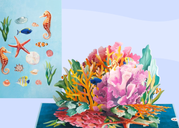 A Fresh Take on Greeting Cards with Lovepop