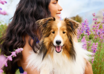 Clean Nutrition for Pets Who Deserve the Best