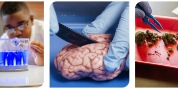 A Century of Supporting Science Education