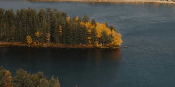 Language Learning That Feels Natural