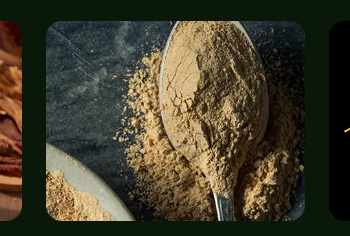 Exploring Mood: A Premier Destination for Federally Legal Cannabis