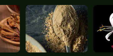 Exploring Mood: A Premier Destination for Federally Legal Cannabis