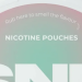 PouchCentral: A Detailed Look at a Leading UK Nicotine Pouch Retailer