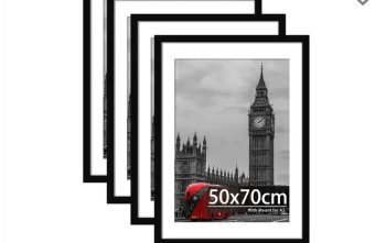 A Comprehensive Look at BargainFox