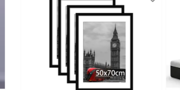 A Comprehensive Look at BargainFox