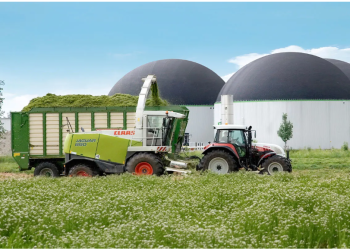 A Detailed Look at Ecotricity