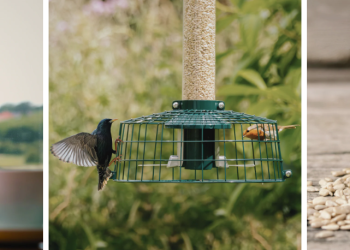 What distinguishes TVA Tech