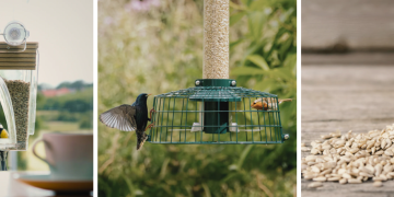 What distinguishes TVA Tech