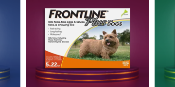 CanadaVetExpress — what the site claims to offer