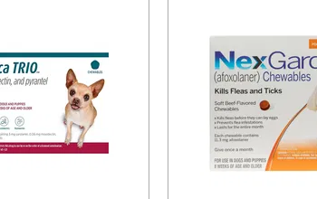 A Look at What Makes BudgetVetCare a Standout in Pet Care