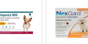 A Look at What Makes BudgetVetCare a Standout in Pet Care