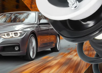 What stands out about maXpeedingrods