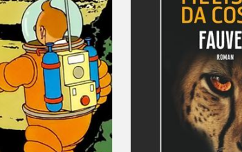 A Comprehensive Guide to Cultural and Technical Excellence with Fnac