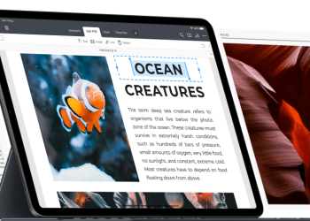 What Makes PDF Expert Stand Out in the PDF Tool Market