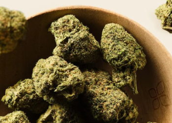 What Makes Hemp Hash Stand Out in the World of Hemp Products