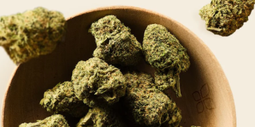 What Makes Hemp Hash Stand Out in the World of Hemp Products