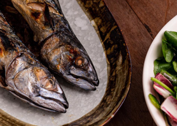 What Makes Regal Fish Stand Out in Aquarium Care and Products