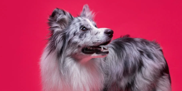 What Sets Mersey Raw Apart in Skincare and Wellness