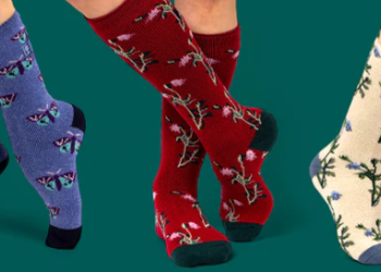 A Detailed Look at Heat Holders