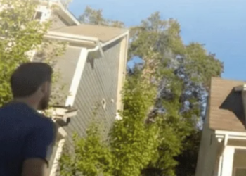 How RentRedi Simplifies Property Management